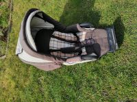 Buggyaufsatz eines Hartan Topline X Kinderwagens, Buggy Dresden - Pieschen Vorschau