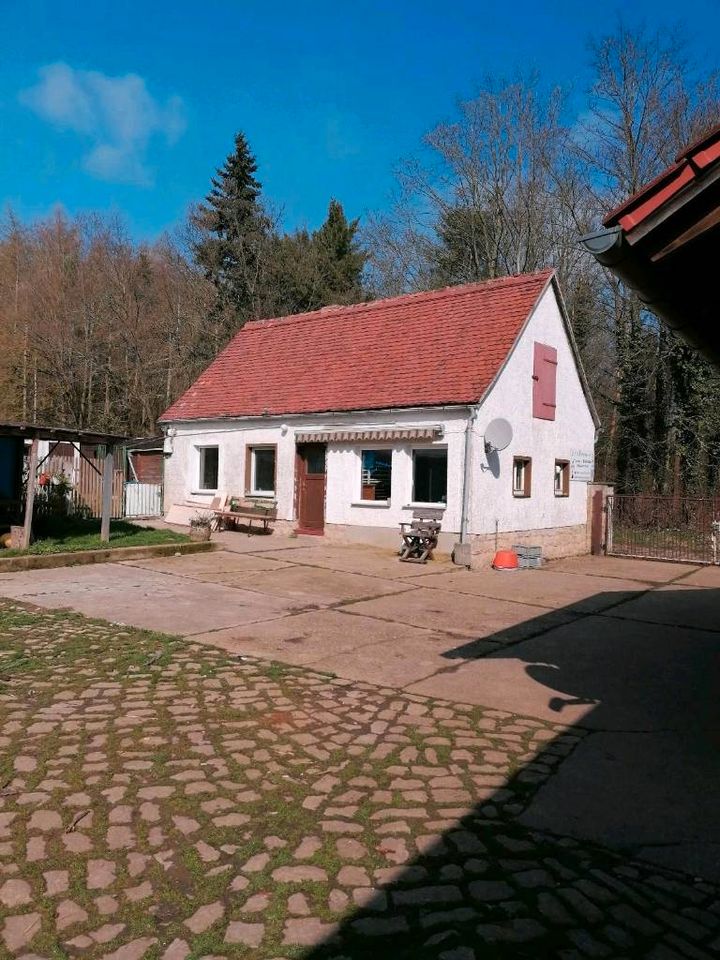 Sehr schöner kleiner Bauernhof in Bad Kösen