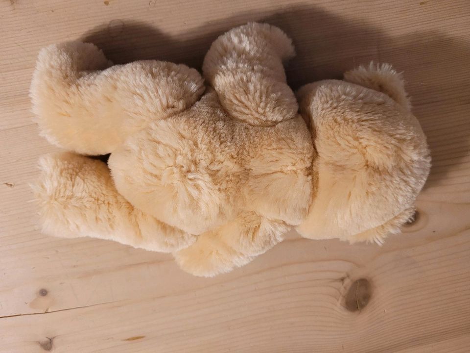 Steiff Teddybär 25 cm in Annaberg-Buchholz