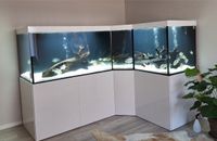 Aquarium Aquarien Aquariumkombination Vorortmontage möglich Sachsen - Kitzscher Vorschau