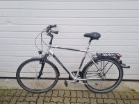 Raleigh Glamour Herren Fahrrad 28 Zoll Herzogtum Lauenburg - Wentorf Vorschau