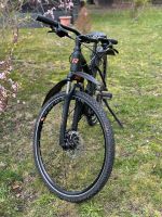 Raymon Bike Brandenburg - Forst (Lausitz) Vorschau