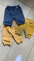 3 neue Fuchs und Kiwi Shorts 98/104 Nordrhein-Westfalen - Lippstadt Vorschau