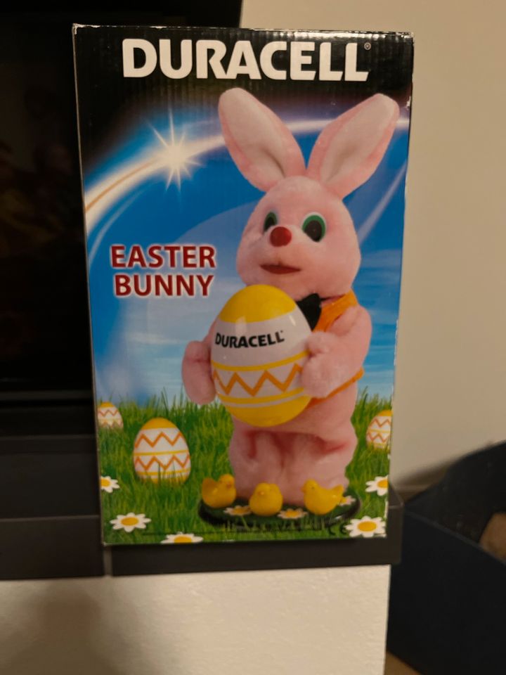 Duracell Hase in Heigenbrücken