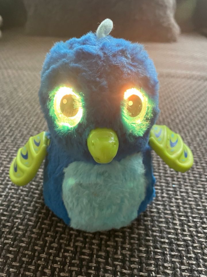 Hatchimal Vogel in Dortmund