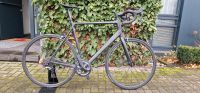 Canyon Endurace CF 8 XL-L mit DT Swiss  LS Nordrhein-Westfalen - Ratingen Vorschau