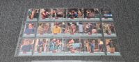 The Big Bang Theory Seasons 3 & 4 Trading Cards Sachsen-Anhalt - Elbe-Parey Vorschau