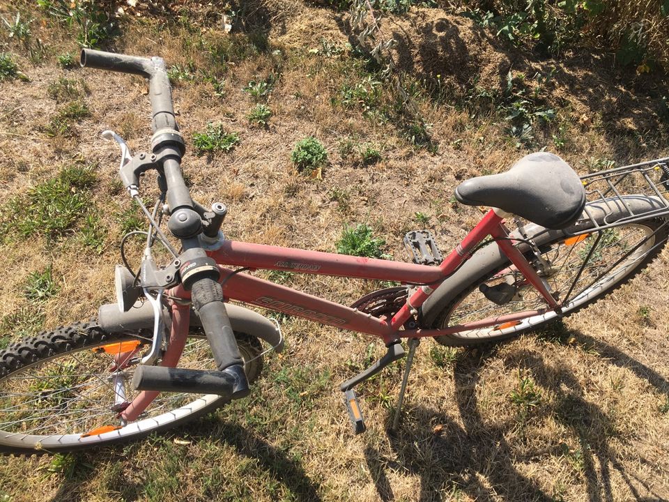 Kinderfahrrad in Salzmünde