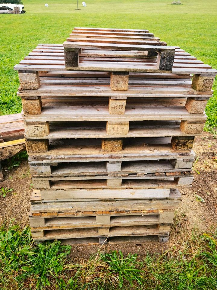 Paletten 30 Stück Holz Pallette Einweg Europaletten Einwegpalette in  Baden-Württemberg - Isny im Allgäu | eBay Kleinanzeigen ist jetzt  Kleinanzeigen