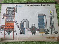 Wandkarte Verschwelung der Braunkohle gebraucht Bad Doberan - Landkreis - Sanitz Vorschau