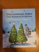 Adventskalender Buch das geheime Leben der Weihnachtsbäume Nordrhein-Westfalen - Meschede Vorschau