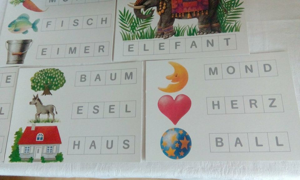 Lernspiel ⭕ Mein erstes LESE-Spiel ⭕ Noris-Spiele in Perlesreut