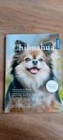 Chihuahua Buch Kosmos Nordrhein-Westfalen - Übach-Palenberg Vorschau