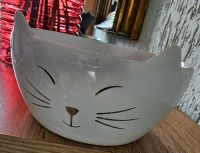 Katzennäpfe Porzellan Saarland - Beckingen Vorschau