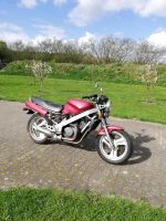 Motorrad Honda RC 33, als Ersatzteilspender zu verkaufen Mecklenburg-Vorpommern - Steinhagen (Vorpommern) Vorschau