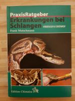 Erkrankungen bei Schlangen - Vorbeugen und erkennen Kreis Ostholstein - Fehmarn Vorschau