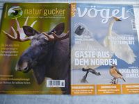 Hochwertige Vogel und Natur- Magazine, neuwertig, 2 Stck. Hessen - Solms Vorschau