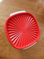 Tupperware Schüssel 838-- 11 mit Deckel 839-21 Bayern - Dettelbach Vorschau