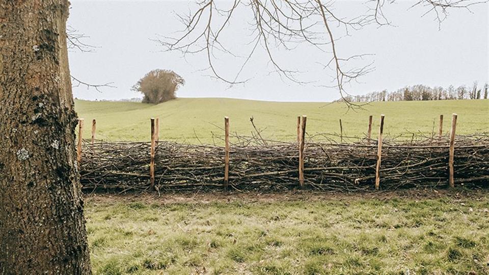 Äste / Totholz / Astwerk / Zweige - für Benjeshecke oder Hochbeet in Alt Zauche-Wußwerk