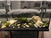 Tetra 60 cm Aquarium + Tetra 400Plus Außenfilter Baden-Württemberg - Linkenheim-Hochstetten Vorschau