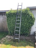 Holzleiter DDR Vintage Deko 3m Sachsen-Anhalt - Freyburg (Unstrut) Vorschau