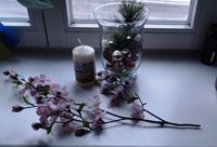 Glasvase Blumenvase Windlicht-Vase Klarglas Deko Artikeln umsonst Brandenburg - Frankfurt (Oder) Vorschau