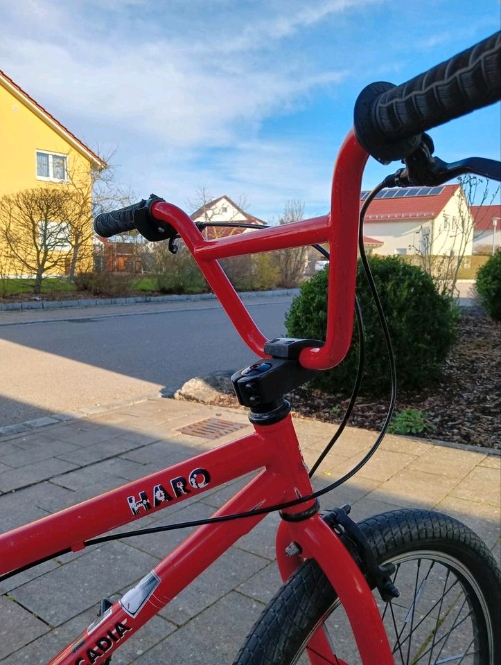 BMX Fahrrad 20 zoll in Satteldorf
