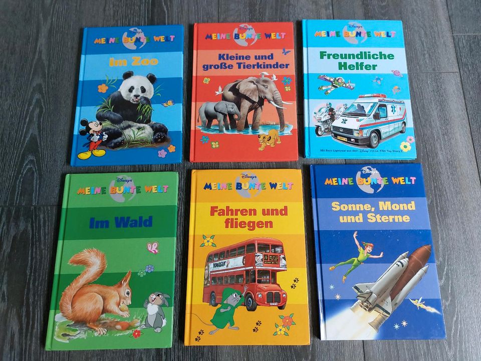 Disney Kinderbücher Winnie Puuh & "Meine bunte Welt" in Beverstedt
