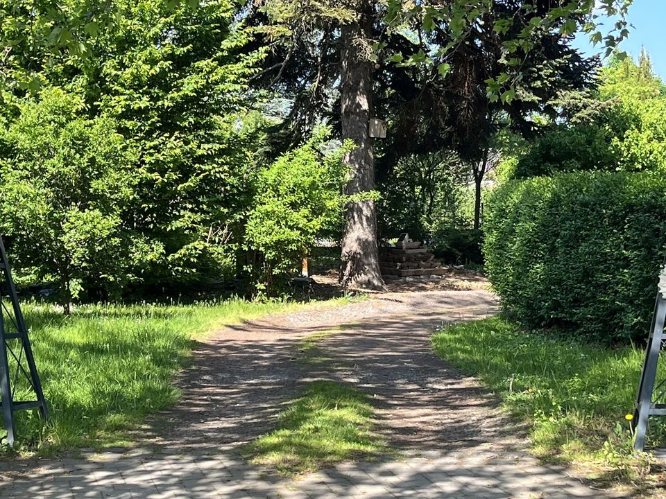 Villa im Weinanbaugebiet Moseltal in Burgen