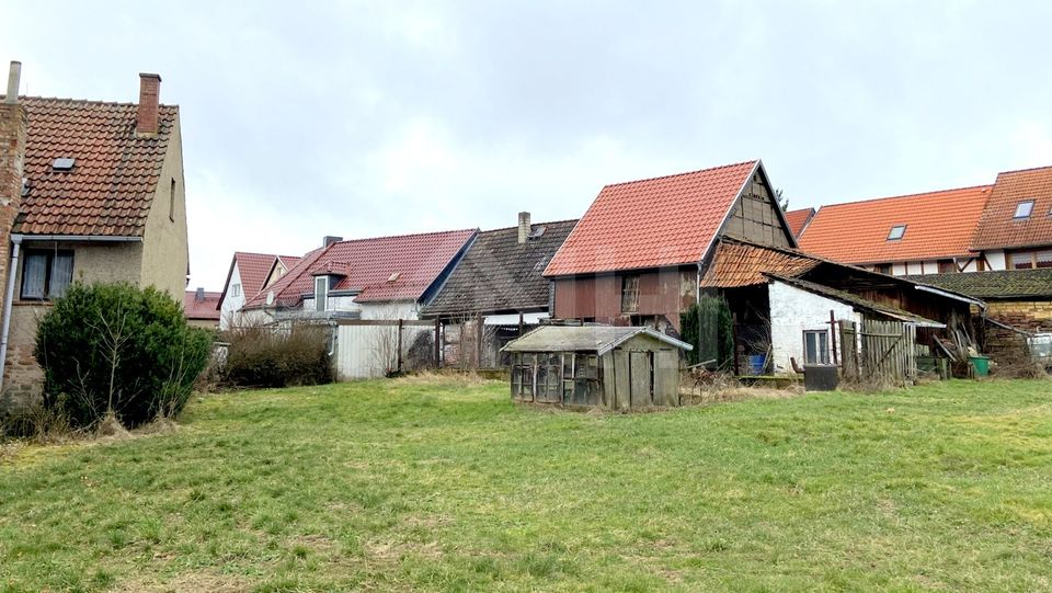 Mach dir deine Welt, wie sie dir gefällt ... Landidyll mit Sanierungspotential in Allstedt