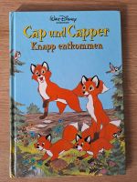 Buch, Disney Cap und Capper knapp entkommen Baden-Württemberg - Buchen (Odenwald) Vorschau