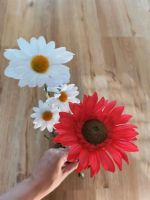 Ikea Kunstblume Gerbera Rot / Weiße Blumen Stuttgart - Feuerbach Vorschau