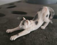 Schleich Ziege Elefant Giraffe Delfin Husky Schäferhund Katze Bär Nordrhein-Westfalen - Siegburg Vorschau