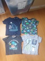 Tshirts 74 Neumünster - Timmaspe Vorschau