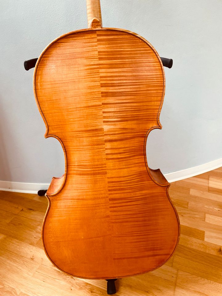 Violoncello 4/4 in Dresden