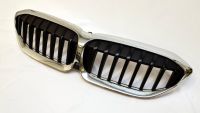 BMW 3er G20/G21 Grill original Dresden - Langebrueck Vorschau