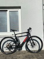 BMC Alpenchallenge AMP Carbon E - Bike Größe L 1250 Km Baden-Württemberg - Esslingen Vorschau