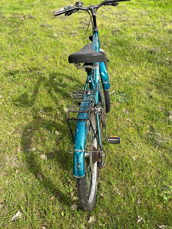 Fahrrad  alle Arten in Bassum