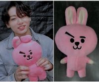 ❤️ Cooky Hase - BTS ❤️  NEU ‼️ Bayern - Sonthofen Vorschau