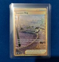 Pokemon TCG - Gapejaw Bog Gold Rare Silver Tempest 213/195 Nordrhein-Westfalen - Olpe Vorschau