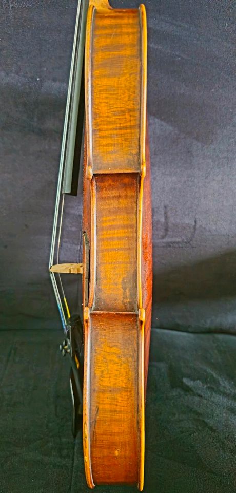 Schöne alte Geige/Violine mit Zettel Giuseppe Pedrazzini in Ainring