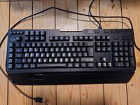 Logitech G910 Orion Spectrum mechanische Tastatur DE-ISO Layout Niedersachsen - Braunschweig Vorschau