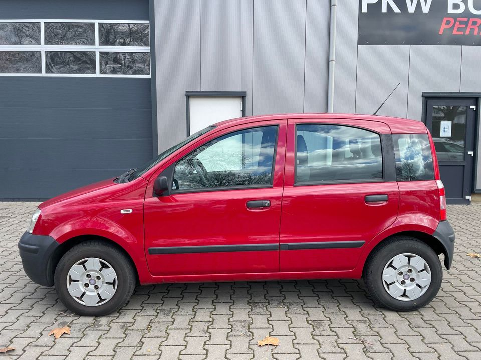 Fiat New Panda 1.1 8V - 1.Hand & Scheckheftgepflegt in Bornheim