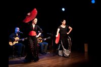 Spanische live Musik Flamenco Salsa Gitarre Tanz Latino Niedersachsen - Bad Laer Vorschau