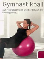 Gymnastikball 65cm Fitnessball Brandenburg - Wittstock/Dosse Vorschau