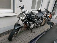 Suzuki GSF 400 Bandit - 48PS A2 Führerschein Hessen - Bischofsheim Vorschau