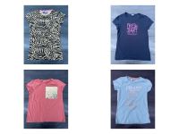 T-Shirts von Raizzed, S.Oliver, Vingino Gr. 164 Niedersachsen - Damme Vorschau