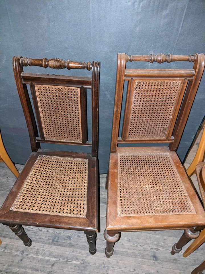 Antike Stühle zu verkaufen in Hankensbüttel
