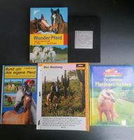 Bücher: Pferdebücher, Pferdequiz, Ratgeber Niedersachsen - Bodenwerder Vorschau