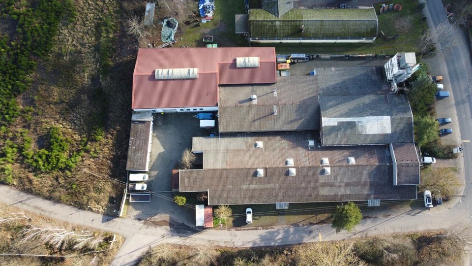 *109_GEW*Logistik/Produktion/Lager*ca.800m²*Büro*WC*Topausstattung*Saarwellingen* in Saarwellingen